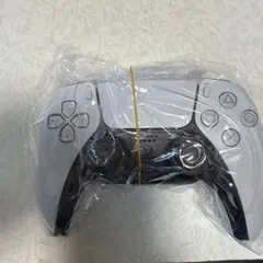 Sony PlayStation 5 DualSense 本体