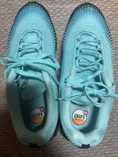 ナイキ AirMax DN PRM ブルー系