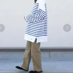 オーシバル　ラッセルフレンチボーダー