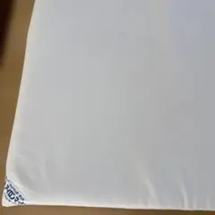 Item thumbnail for item 9e30d8e8-3e2e-4c58-8ec2-5c5bbfd4683b