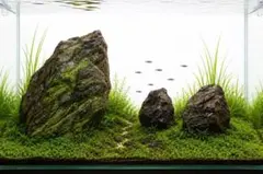 4ADA 万天石セット　12キロ　一点物　石組　絶版　水槽　レイアウト　山谷石 4ADA 万天石セット 12キロ 一点物 石組 絶版 水槽 レイアウト 山谷石