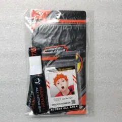 美品 ハイキュー×Vリーグ チケットホルダー&バッグステージパス : ハイキュー Vリーグ チケットホルダー パス風カード ID