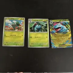 メガフシギバナex フシギダネ フシギソウ 各2枚 進化ライン セット