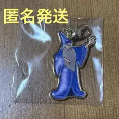 ディズニー ストア ファンタジア イェンシッド アルファベット ピンバッジ ディズニー ストア ファンタジア イェンシッド アルファベット