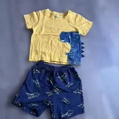 恐竜デザイン Tシャツとショートパンツセット