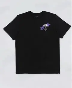 ☆激レア ハワイ限定 ノースフェイス×アイランドスノー Tシャツ - メルカリ