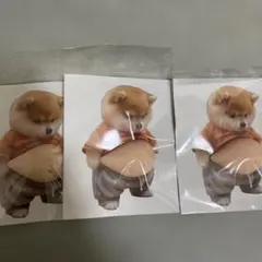 【訳あり】柴犬 お腹 ぷにぷにシール3枚セット