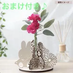 Item thumbnail for item bc0a54b6-55f3-47a2-a2b9-3c57b0d48cac