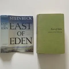 2025年最新】East of Edenの人気アイテム - メルカリ