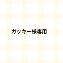ガッキー様専用