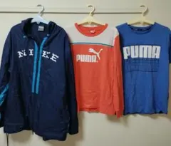 Item thumbnail for item e1d8be7d-409b-46b5-88d9-24e3f0e26da9