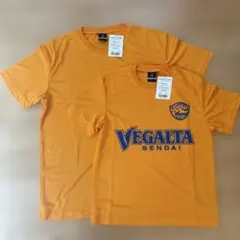 ベガルタ仙台 FLAG TOWN Tシャツ Ｌ/150センチ　2枚セットのサムネイル