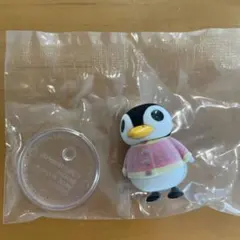 あつまれどうぶつの森　ともだちどーる　オーロラ