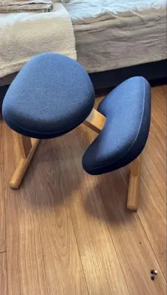 エルゴノミックダークブルーチェア