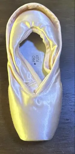 トゥシューズ　Grishko Pro Flex 3 XX