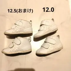 アシックス スクスク スニーカー 12.0 12.5