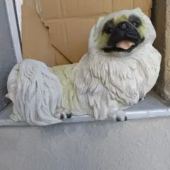 犬 ペキニーズ 中国産