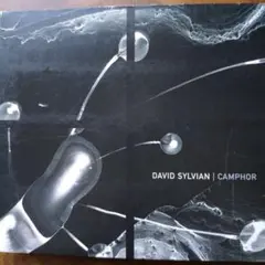 DAVID SYLVIAN 12インチシングル　6枚セット David Sylvian Japan | eBay