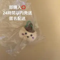 Item thumbnail for item 06bb581c-008e-4141-9800-c0125305e962