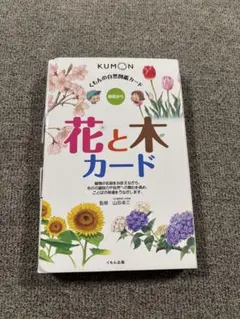 Item thumbnail for item d71e9416-78b4-437a-a260-7b08af7e8a4a