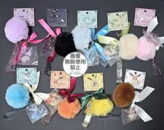 ポケモン　キーホルダー　イーブイコレクション　全9種セット