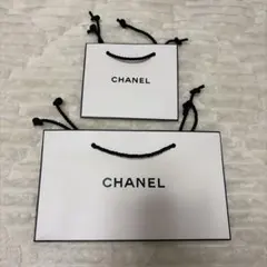 CHANEL ショップ袋 大・小セット