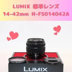 ✨美品✨パナソニック LUMIX 45-150mm シルバー 望遠 プロテクター