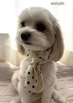 そら様 犬用 保冷剤付きネッククーラー ドット柄 ハンドメイド SS そら様 犬用 保冷剤付きネッククーラー ドット柄 ハンドメイド SS