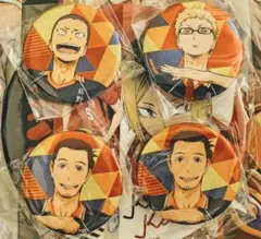 ハイキュー 缶バッジ 烏野セット