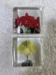 蘭の花 ペーパーウェイト 2個セットのサムネイル