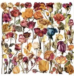 T183／コラージュ素材/海外/ステッカー/シール　バラ　PET 3