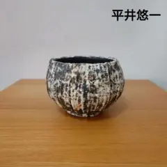 平井悠一 作家鉢 植木鉢 ① 2025年最新】平井悠一の人気アイテム - メルカリ