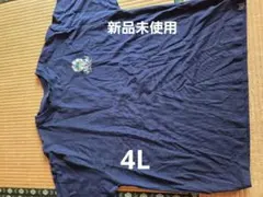 Item thumbnail for item a6bb20c7-a6cc-4820-83a2-51d659bfde3c