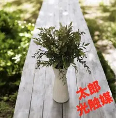 光触媒　フェイクグリーン　◯◯ファナ　観葉植物　◯麻　花付き　造花　草　CBD@ 光触媒 フェイクグリーン ◯◯ファナ 観葉植物 ◯麻 花付き 造花 草