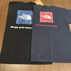 ノースフェイス Tシャツ 2枚セット（バンダナ＆等高線ロゴ）