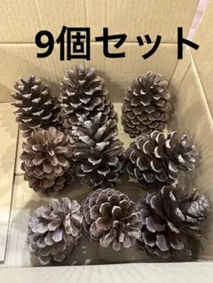 2026年最新】大王松の人気アイテム - メルカリ