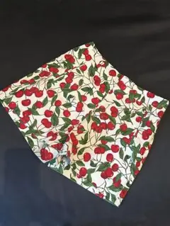 Item thumbnail for item cbcdb6a5-562d-4ede-b391-5a84ee3ffff0