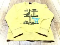 恐竜とゲームデザインのトレーナー 120