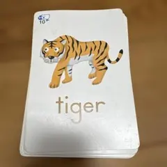 英語知育カード 英単語 イラストカード セット　ジャンク品のサムネイル
