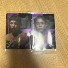 国内スポーツ トレーディングカード セット