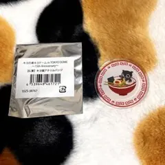 キヨ猫　アクリルバッジ　東キヨドーム　G賞①