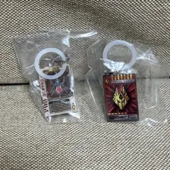 仮面ライダー めじるしアクセサリー2 アドベントカード ラウズカード 龍騎 剣