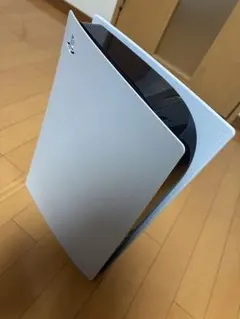 PlayStation5 (ジャンク品) 箱あり