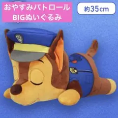 パウ・パトロール おやすみパトロールBIGぬいぐるみ ~ チェイス ~