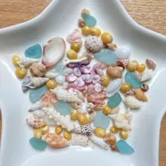 ねこハチ様 リクエスト 2点 まとめ商品