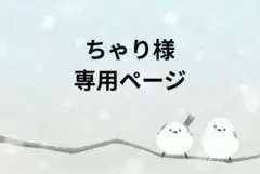ちゃり様　専用ページ