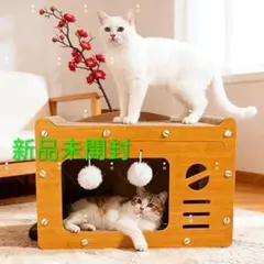 Item thumbnail for item 70b4a750-2dbe-44bd-94bf-9b91d086d2e8