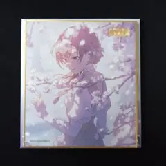 プロセカ 色紙 53A MEIKO 特訓後