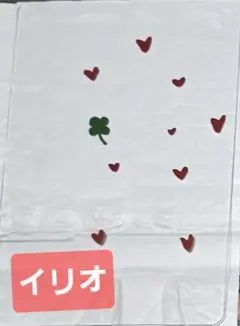 ALD1 リオ 韓国 ポップアップ EUPHORIA ランダムクリアフォトカード