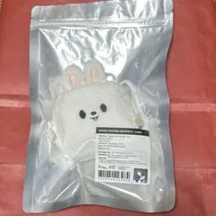 magic school skzoo backpack Leebit リノ